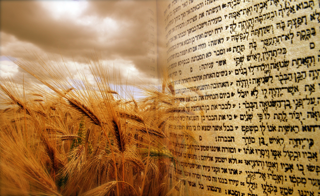 18 Shavuot – Receiving of the Ten Commandments | tamid nyc